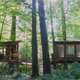 Illustration for article titled Treehouse in the middle of Atlanta